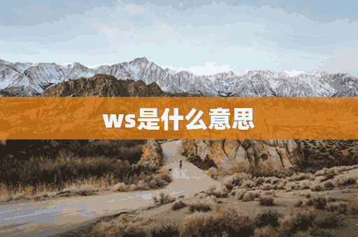 ws是什么意思(wps是什么意思)